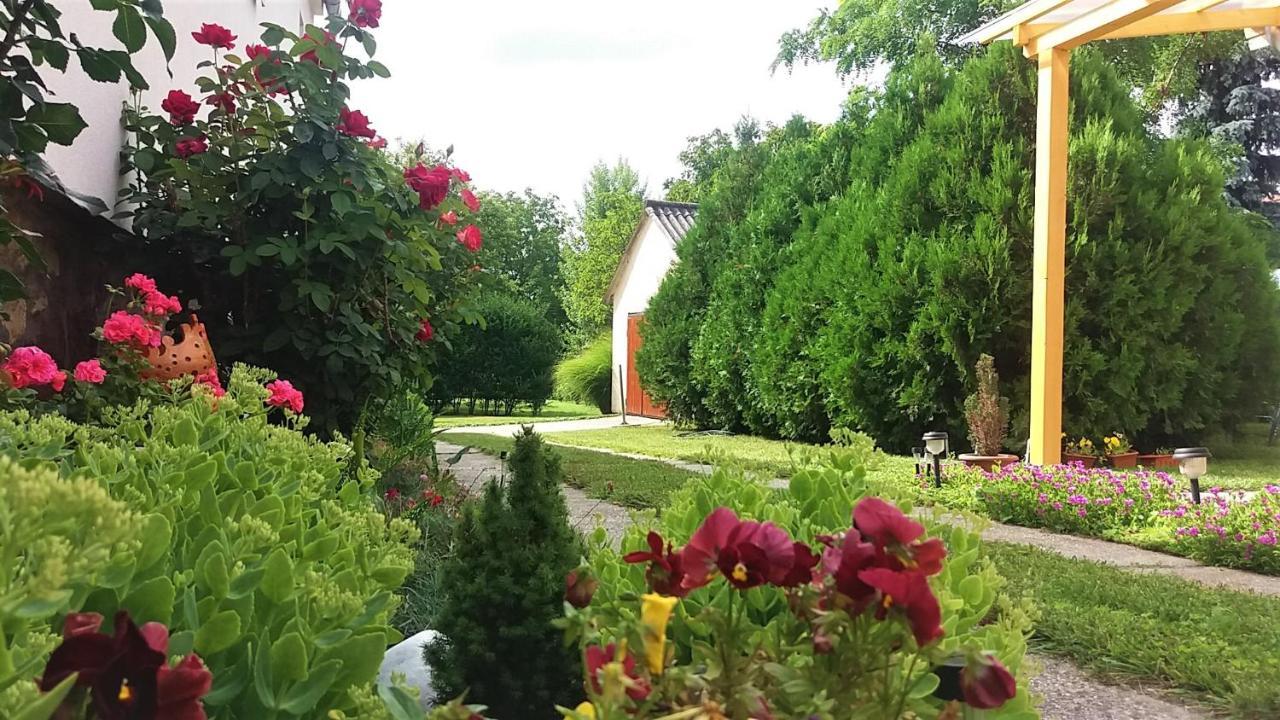 Julia Vendeghaz Sarrod Hotel Exterior foto